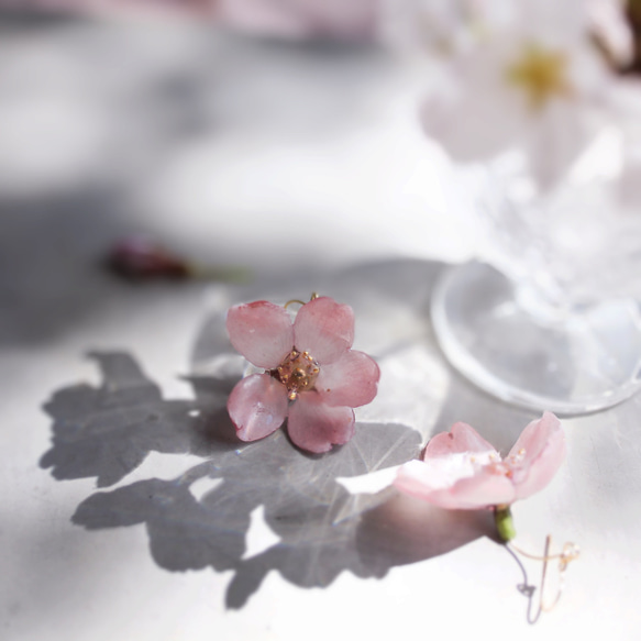 一輪咲 本物の桜のピアス｜イヤリング｜No.186 12枚目の画像