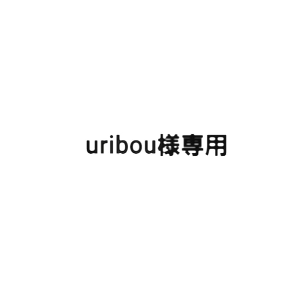 uribou様専用ページ♪ 1枚目の画像