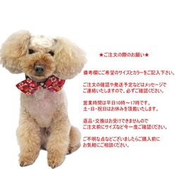 ★完成品★蝶ネクタイ ネックシュシュ リボン 桜金襴 レッド【S】ひな祭り さくら 衣装 犬猫用 お正月 首輪 ペット 5枚目の画像