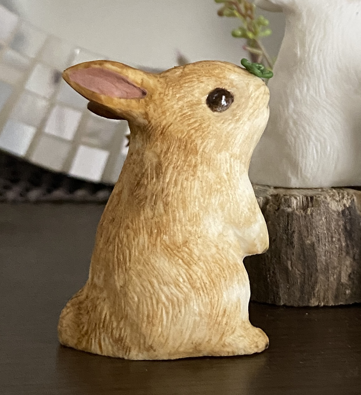 ウサギ出品