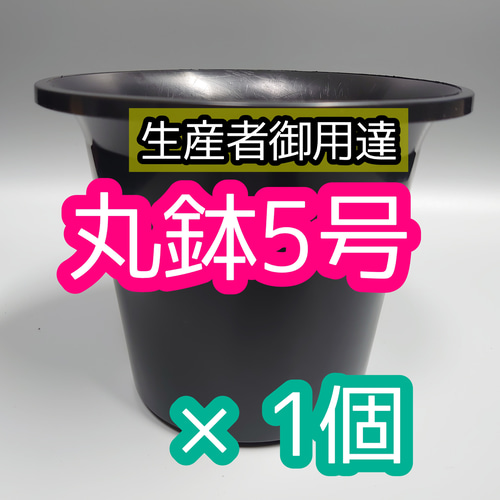 丸鉢 5号 黒 1個 プラ鉢 サボテン アガベ 観葉植物 多肉植物 薔薇 観葉