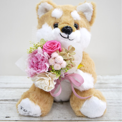 プリザーブドフラワーの花束と可愛い柴犬 3枚目の画像