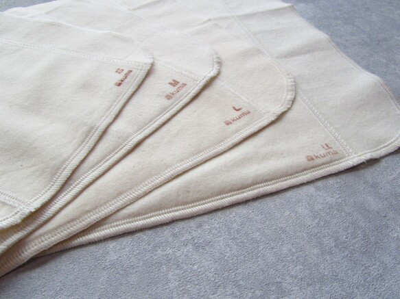 【送料無料★経血量が多い方へ】最強プレーンセット（吸収体）