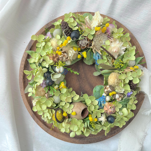 アナベルのリース / ドライフラワー リース スワッグ 春 あじさい  