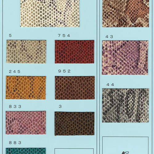 長財布 財布 メンズ パイソン 蛇 蛇柄 ヘビ柄 ヘビ 革 蛇革 白蛇