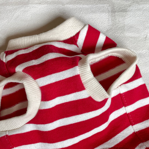 レッド＆アイボリー ボーダー ミニチュアダックス服 タンクトップ