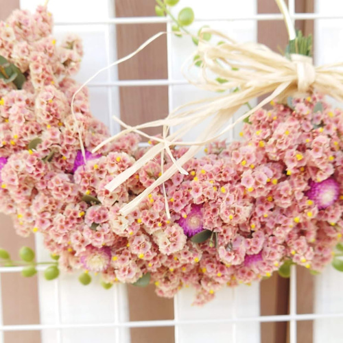 ピンクのリース【ハイブリッドスターチス】ドライフラワー 雲竜という名の 淡いピンクのハイブリッドスターチス 乾きました