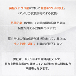 【春満開】2023春中くらいパンダ〜ブルー(柄物⑧-30)快適マスク　エチケットマスク 17枚目の画像