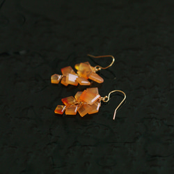 fusa : Carnelian（earring） カーネリアンの耳飾り 2枚目の画像