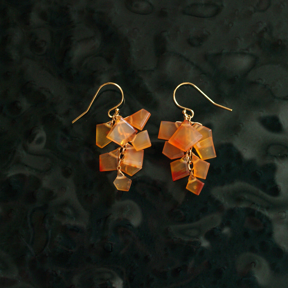 fusa : Carnelian（earring） カーネリアンの耳飾り 1枚目の画像