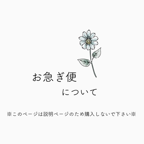 【お急ぎ便】について／当ページはお手数料購入ページではございません 1枚目の画像