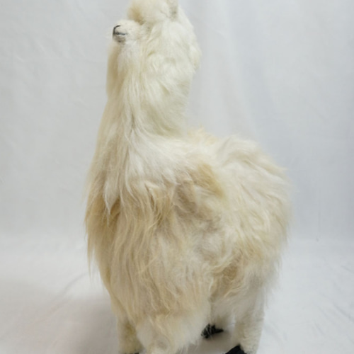 鬼可愛い】アルパカ ぬいぐるみ 置物 ホワイト ミックス 原毛