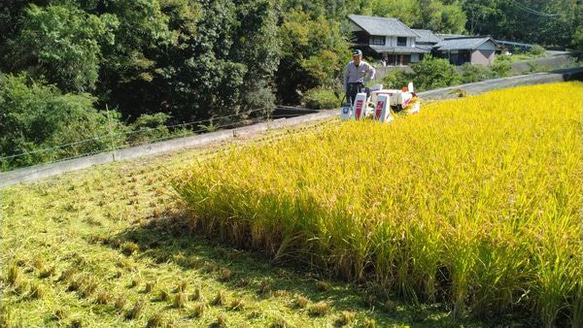 ながら、純米大吟醸 5枚目の画像