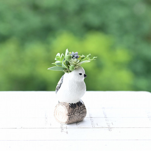 青緑色の陶器製花瓶と多肉植物*3 楽天市場】CT触媒 カラフル