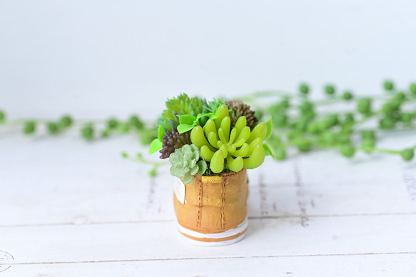 多肉植物アレンジ（スニーカー） 4枚目の画像