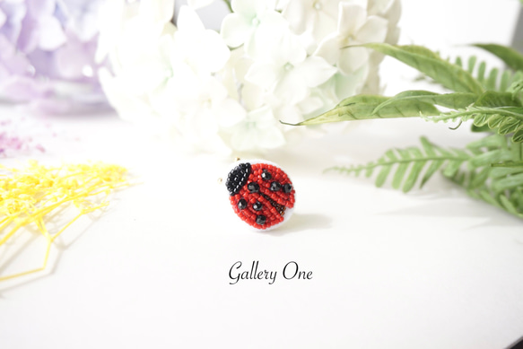 ちいさなラッキーモチーフ✧*̣̥幸運を呼ぶてんとう虫のブローチ