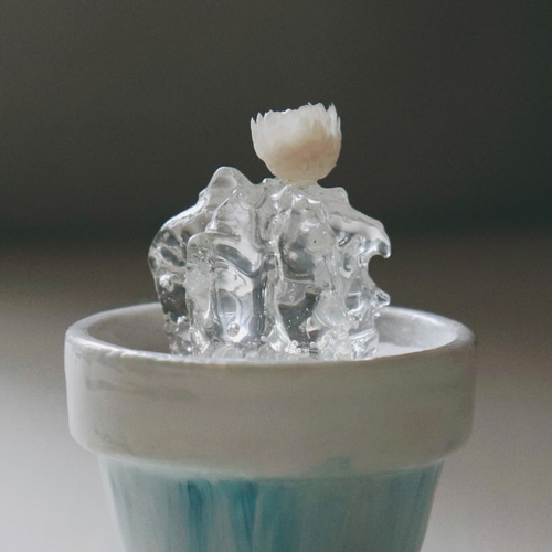 Creema限定 透明なサボテン①(青い鉢) 立体・オブジェ somari to moti