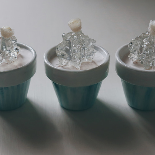 透明サボテン 𝗘 𝗰 𝗵 𝗶 𝗱 𝗻 𝗮 𝗝 𝗶 𝗻 | 水の精霊のような透明水サボテン