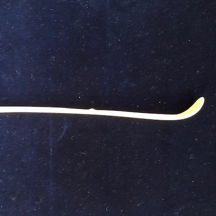 象牙　茶杓（竹）