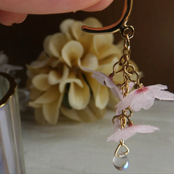 揺れる桜のイヤーカフ 3枚目の画像