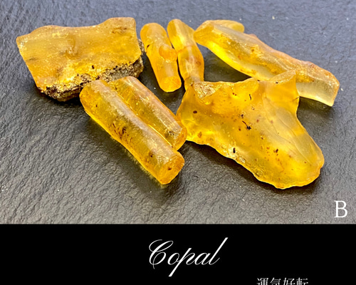 【超希少】虫入り琥珀（コパル） 超希少】虫入り琥珀（コパル） （虫入りコパル アンバーb）
