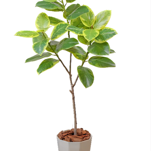 光触媒　人工観葉植物　ウォールグリーン　フェイクグリーン　アルテシマ170170 光触媒 人工観葉植物 ウォールグリーン フェイクグリーン