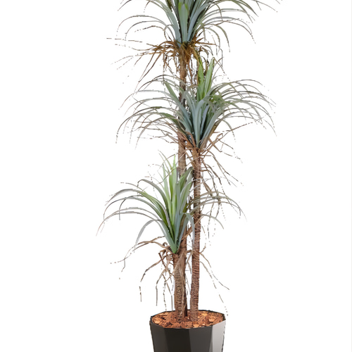 光触媒 人工観葉植物 ウォールグリーン フェイクグリーン 東北