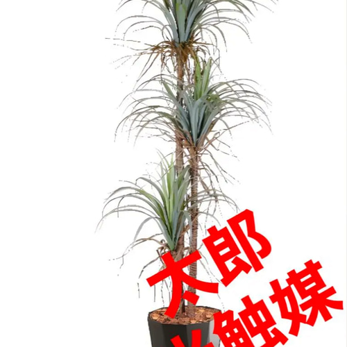 人工観葉植物ウォールグリーンフェイクグリーンドラセナコンシンネ