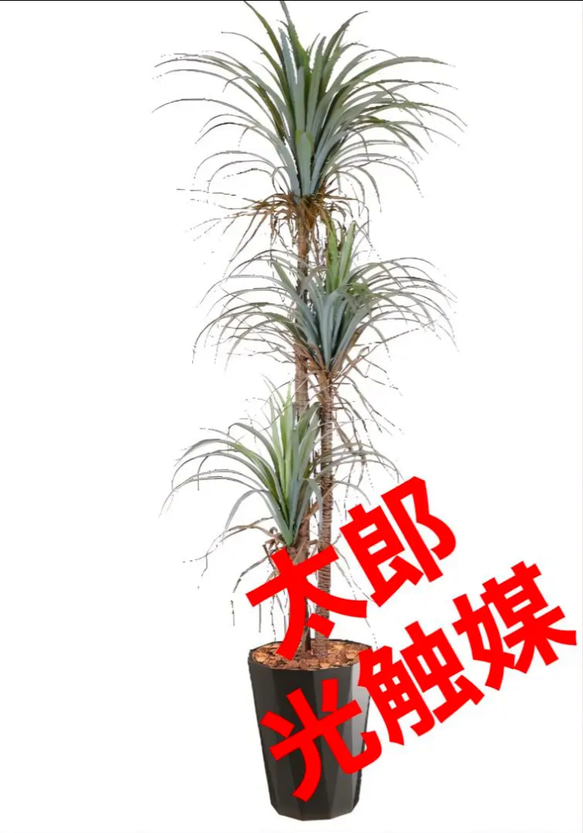 光触媒 人工観葉植物 ウォールグリーン フェイクグリーン フラワー ...