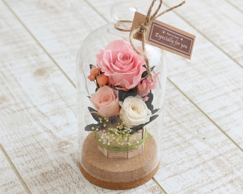 98a24d41b955301b16f2d44a663136