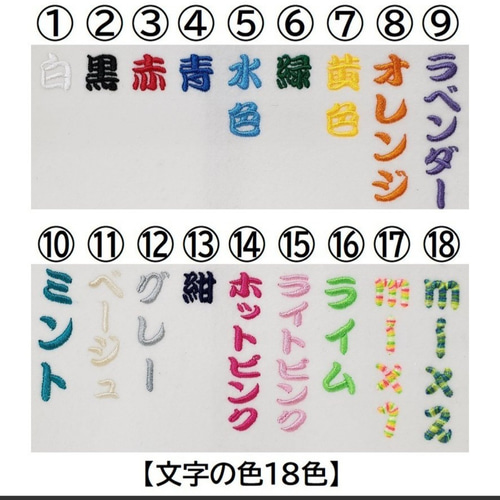 ネームタグ Mサイズ ネームプレート 刺繍 名札 幼稚園 保育園