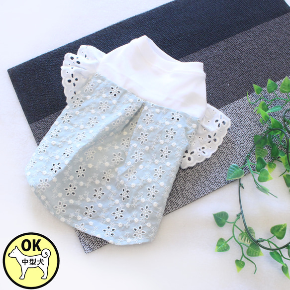 デニム 花柄刺繍 ワンピース 犬服 compass1628595689.jpg