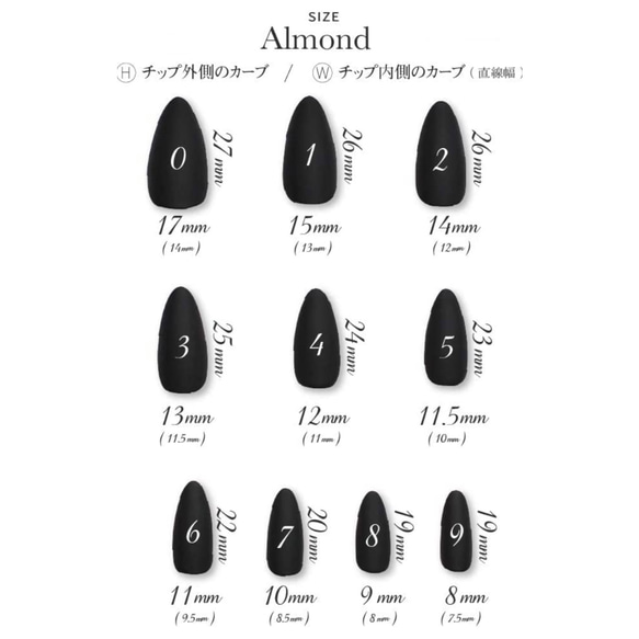 計測用ネイルチップ アーモンド 2枚目の画像