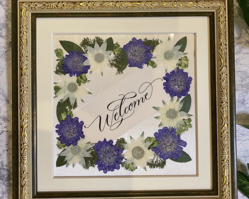 cd84c79fd11df2a10fb0ddfd001691