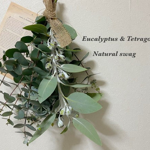 1.テトラゴナナッツフレッシュ生花ユーカリ