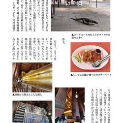 同人誌「Yurutto Solo Travel 3 Thailand 2023.3」 第2張的照片