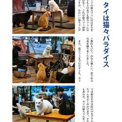 同人誌「Yurutto Solo Travel 3 Thailand 2023.3」 第3張的照片