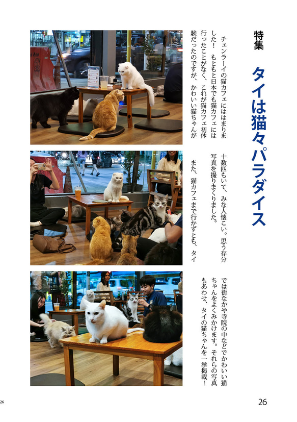 同人誌「Yurutto Solo Travel 3 Thailand 2023.3」 第3張的照片