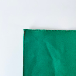 紙袋みたいな帆布バッグ(グリーン)　ハンドバッグ　バッグインバッグ　差し色 6枚目の画像