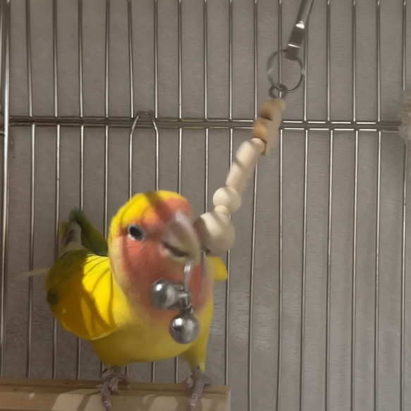 安全で安心《お花の ちびすずりんりん》✩.*˚鳥 インコ おもちゃ 4枚目の画像