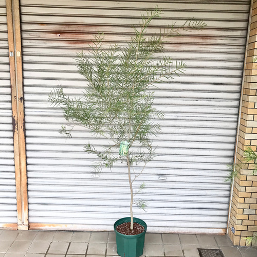 KIMONO SILK ART【紅紫華】Kousi-Hana 額装 絹 インテリア 壁掛け