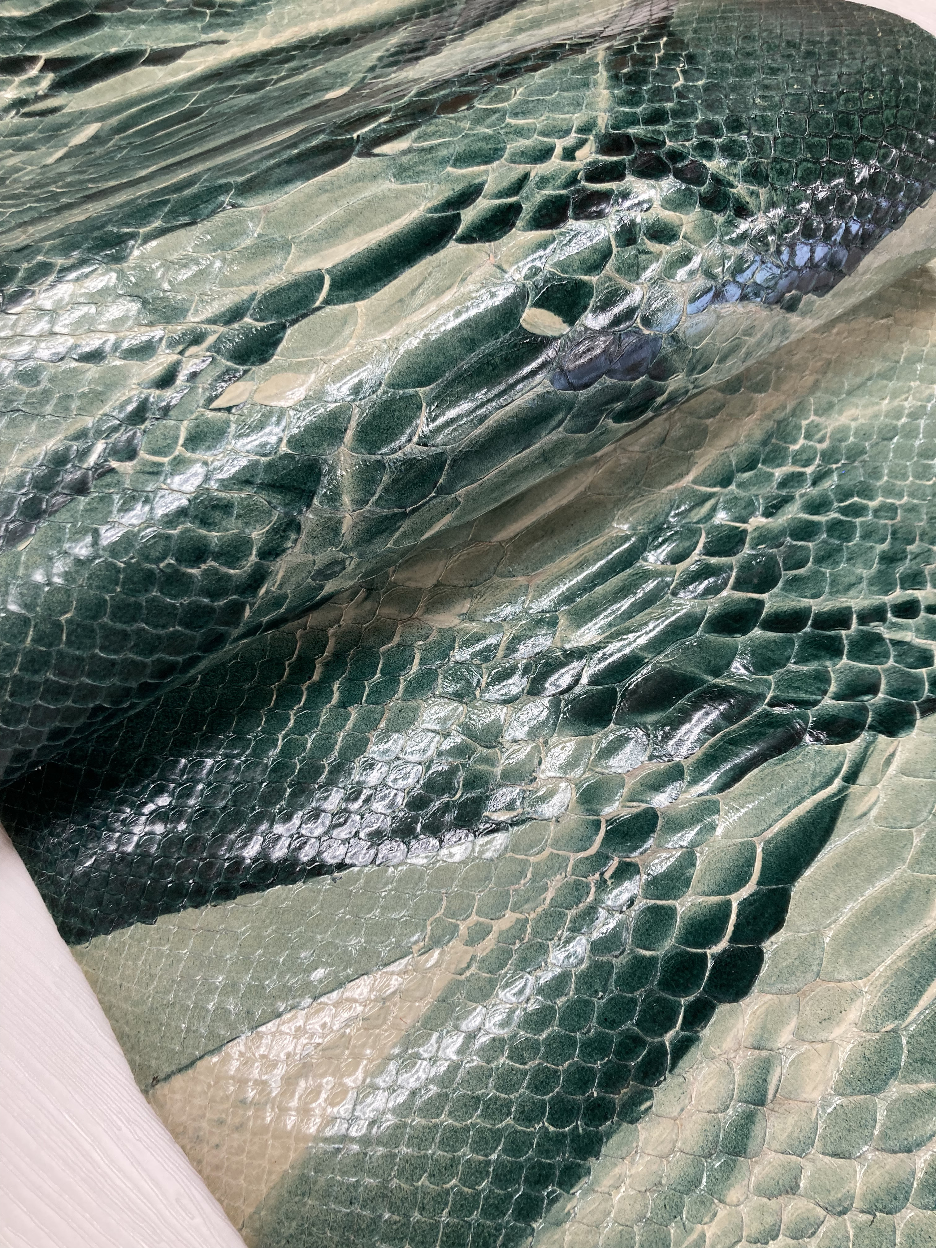 レッドパイソン　ヘビ革　グリーンムラ染め&ツヤ　一枚革_P62