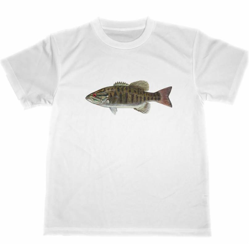 釣り Ｔシャツ 魚　石鯛　バックプリント　ドライ　ブラック2枚 ホワイト2枚 Tシャツ Tシャツフィッシング 釣りTシャツ 速乾Tシャツ 吸汗T