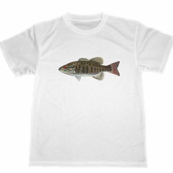 ブラックバス ドライ Tシャツ 2 ルアー釣り グッズ フィッシング バス