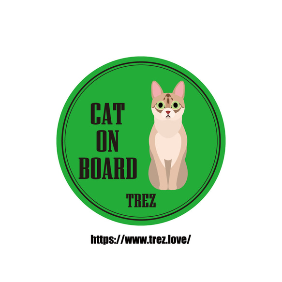 全8色 名前入り CAT ON BOARD シンガプーラ ポップアート マグネット 1枚目の画像