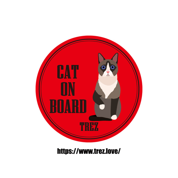 全8色 名前入り CAT ON BOARD スノーシュー ポップアート マグネット 1枚目の画像