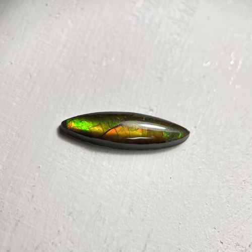 希少! アンモライトリング サイズ10.5号 シルバー950 〈送料無料〉SR