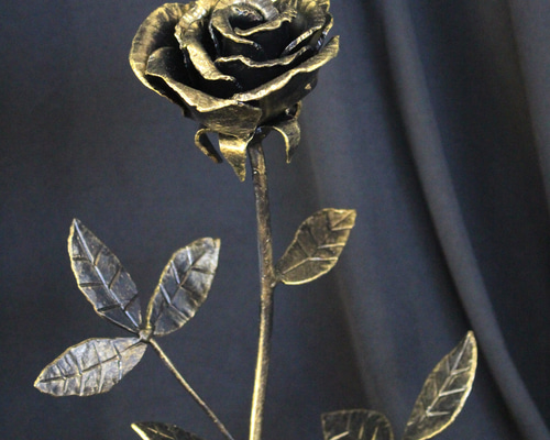 41c8e8cdd855f0d9b5e975c27a31c5