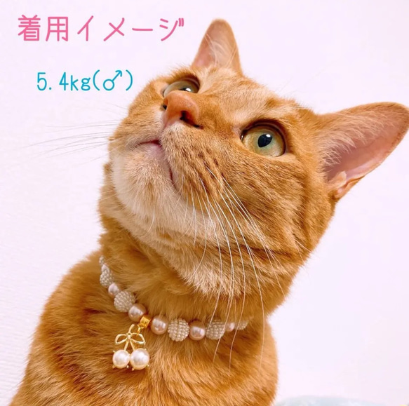 猫の首輪ガラスパールビーズ✨ネックレス首輪♡さくらんぼチャーム 5枚目の画像