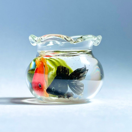 硝子の金魚鉢で泳ぐ金魚 その他インテリア雑貨 池波屋 通販 15696717